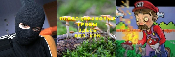 прущие крисы Алзамай