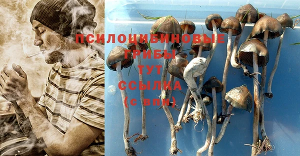 марки nbome Алексеевка