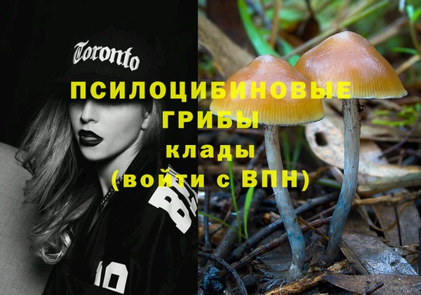 кокс Армянск