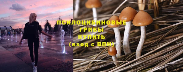 гидропоника Арсеньев