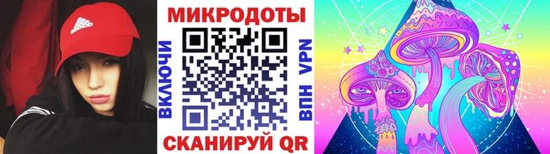Псилоцибиновые грибы Psilocybe  наркотики  KRAKEN вход  Кизел 